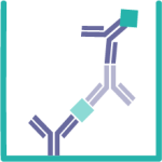 ELISA_small ELISA_small