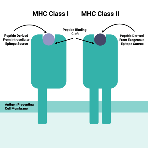 MHCClass_SocialMedia
